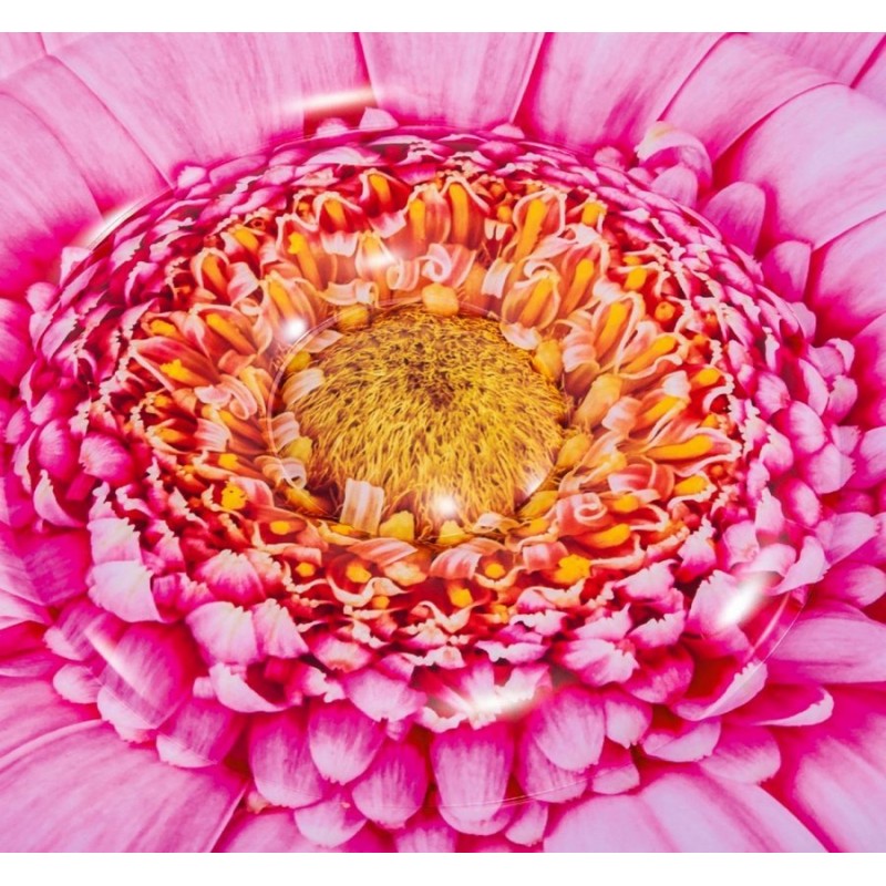 Надувний пліт-матрац "Рожева квітка" (Intex 58787)