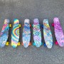 Скейт Penny Board Amigo Ecoline, 6 цветов